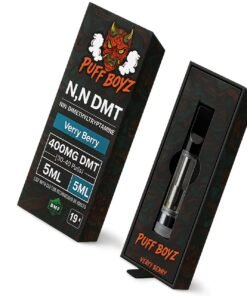 NN DMT Carts 1ML