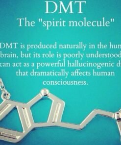 Alternative view of Vice City Labs DMT Cart 1G