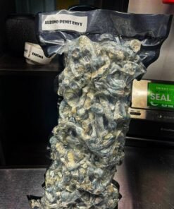 1 pound Golden teacher shrooms