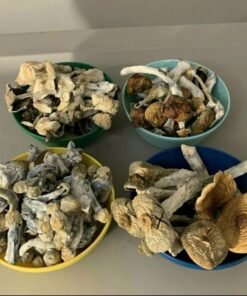 1 Ounce Penis Envy Mushrooms