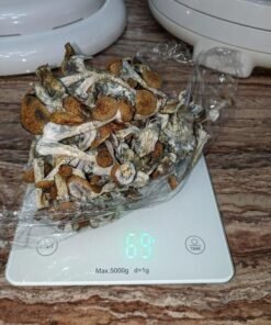 1 pound Golden teacher shrooms online