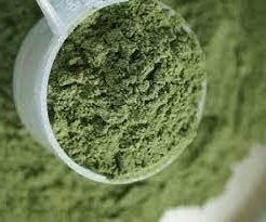 Mescaline Powder UK