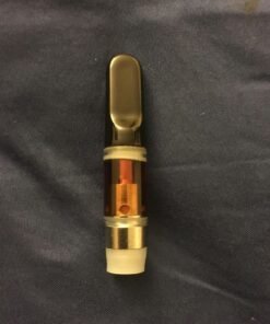 NN DMT